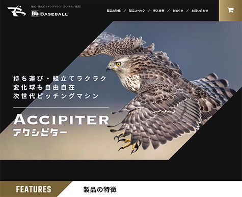 Bb Baseball WEB制作